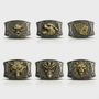 The Copper Canyon Buckle